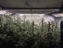 787BB227-F017-48DA-9C72-F74BB1BB0C83