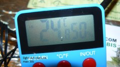 tangie vks cj 12 05 21 028