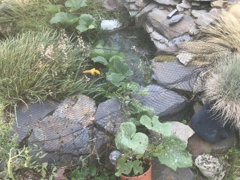 4D637FB1-D63D-439C-A6BC-597FCDE925A4