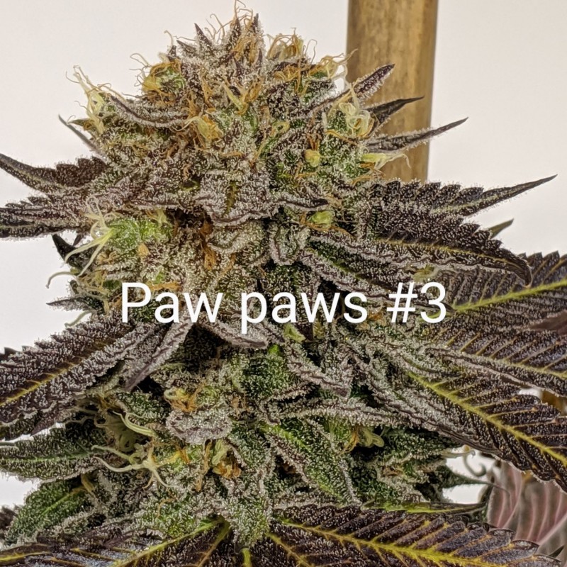 50FDF367-9BE3-4A73-8B01-078B43D17E2F