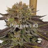 50FDF367-9BE3-4A73-8B01-078B43D17E2F