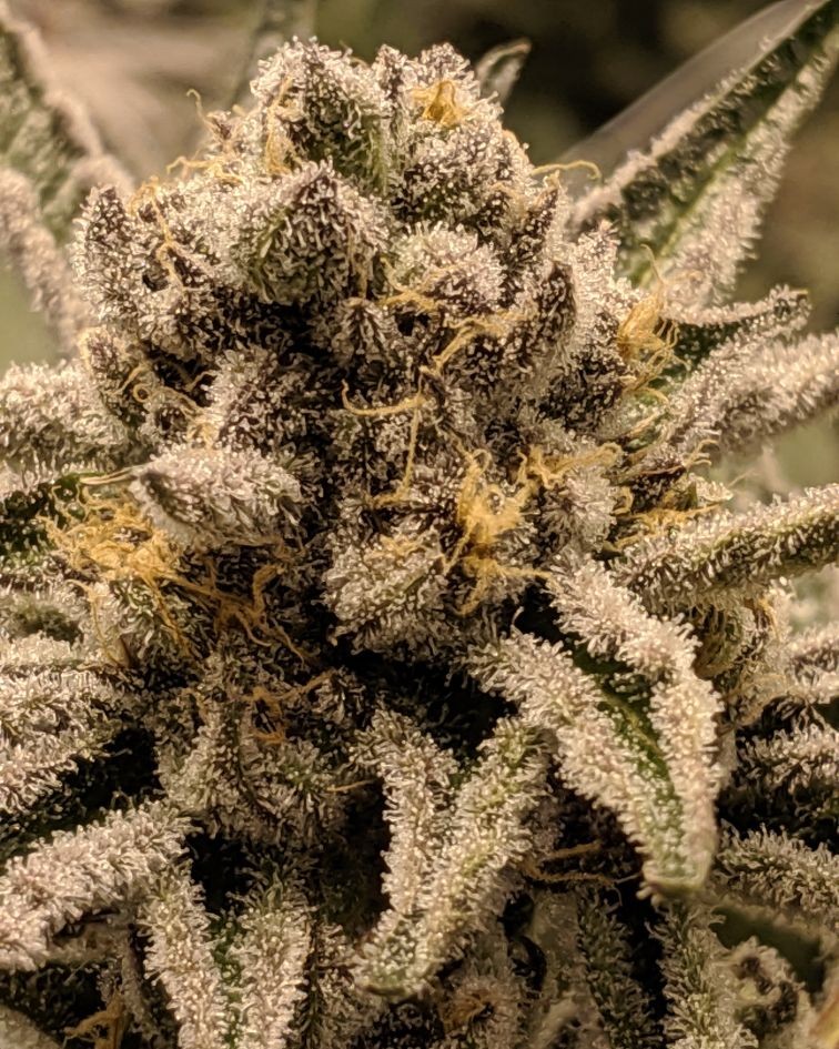 3ACD9167-1F14-4CA4-9DBE-FEABD8536F85