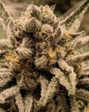 3ACD9167-1F14-4CA4-9DBE-FEABD8536F85