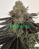 876D9B78-51F9-4309-8EB3-50DD5F12CC7B