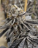 54248903-27BC-4D0E-BB87-92960C8D0940