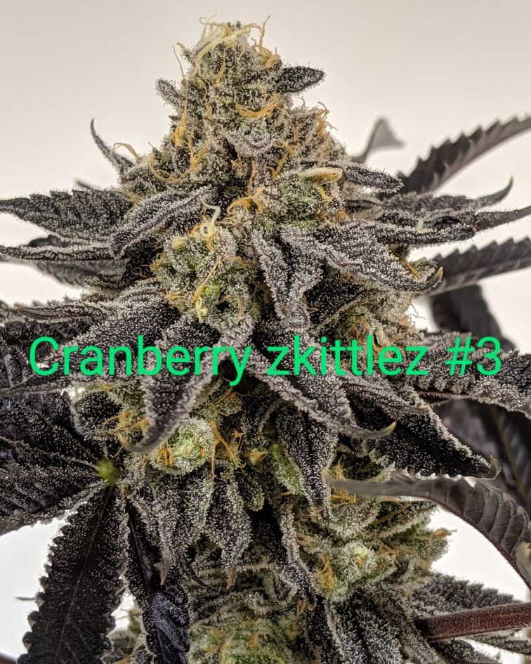 2FAB395A-E2A7-4603-886A-527521B2BB05