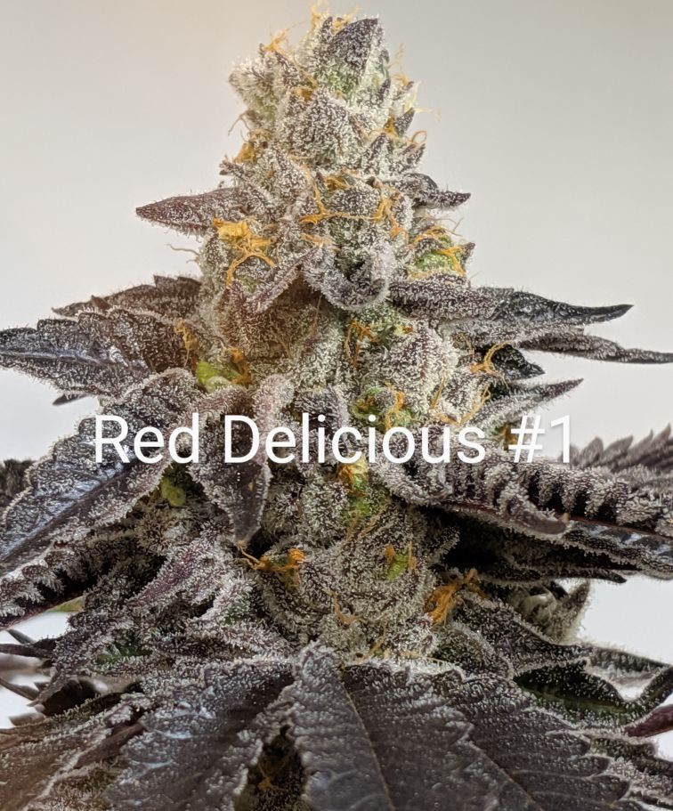 3E41D29C-ADF5-4EE7-ADB0-E5EAA24DEBBB