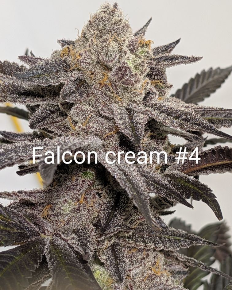 2932DEF0-D68F-47B3-8413-2309E0C58EFB