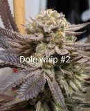 C7F62154-8872-437F-BE08-7B9789D2C993