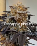 49332CCE-5844-46E7-A8AC-0CC5C8C89905