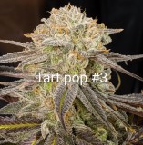 1ECE4250-70D3-4514-A3C0-0D4720E9AA46