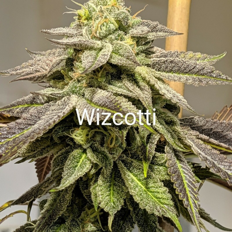 698FEB30-4140-44CB-B206-84D16FE5AB14