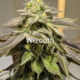 698FEB30-4140-44CB-B206-84D16FE5AB14