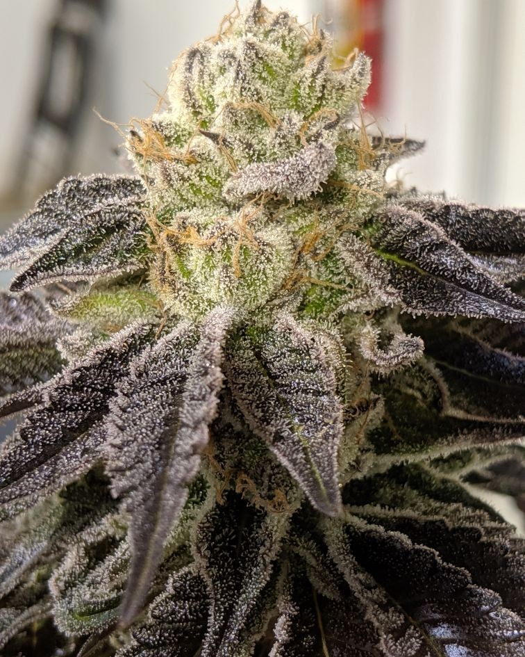 8E467E86-04AC-4659-978A-F343124663DF