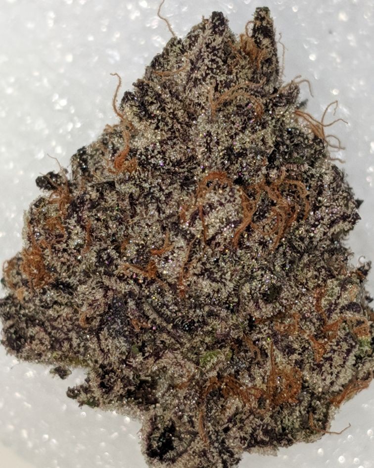 D5684314-0499-418F-B711-F8D4E8F5D4A9