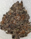 D5684314-0499-418F-B711-F8D4E8F5D4A9