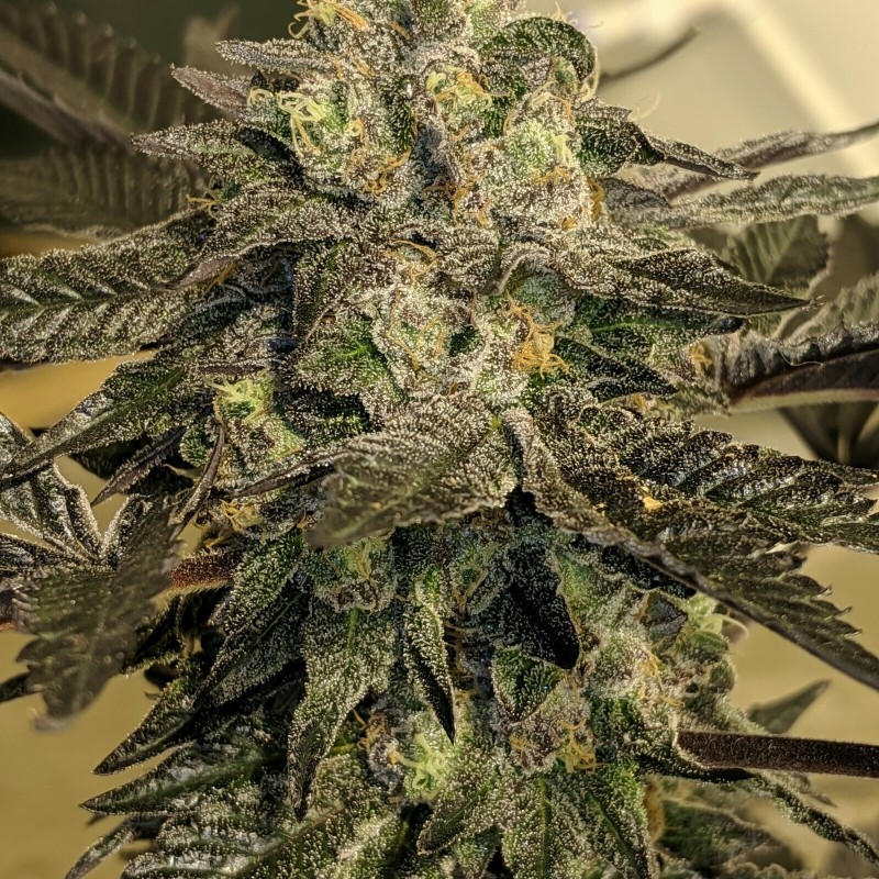 B0CCCB37-4A47-467F-A556-97BED93FC3E6