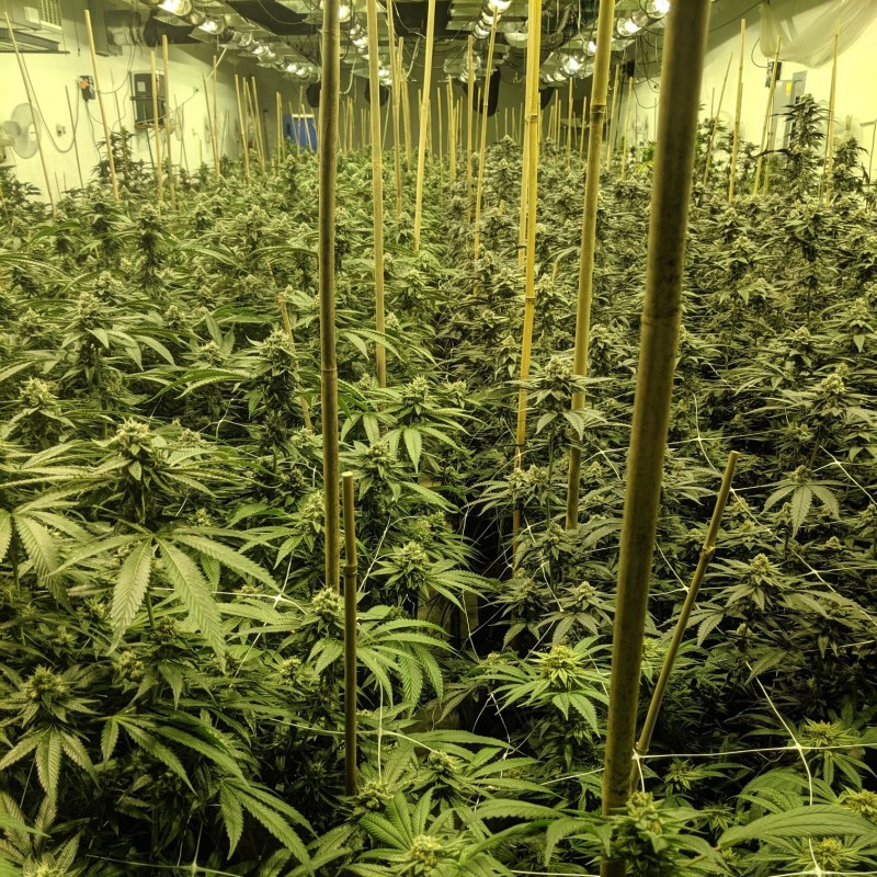 F9BD8811-EE43-4432-B28E-304261A772A1