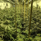 F9BD8811-EE43-4432-B28E-304261A772A1