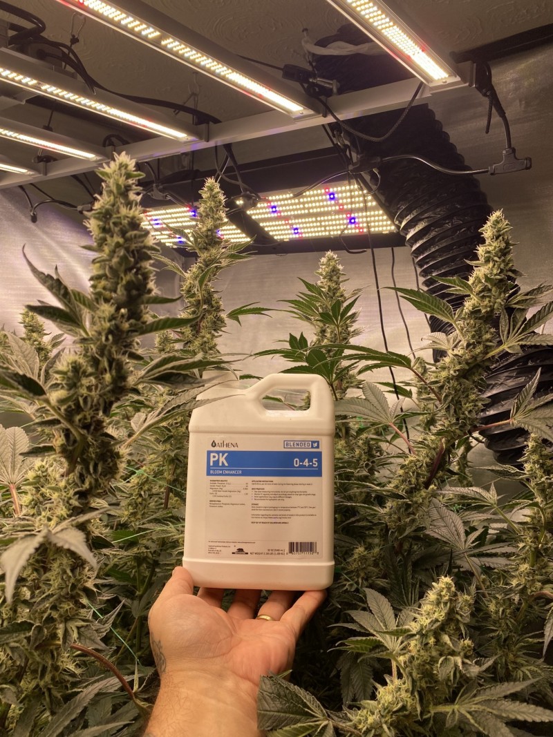 06A8DB03-D951-4FD0-B378-660FA480B541