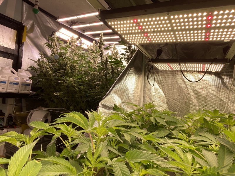 817E57A2-C454-4B00-A63E-D52F7064E2D1