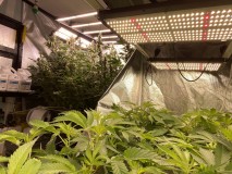 817E57A2-C454-4B00-A63E-D52F7064E2D1