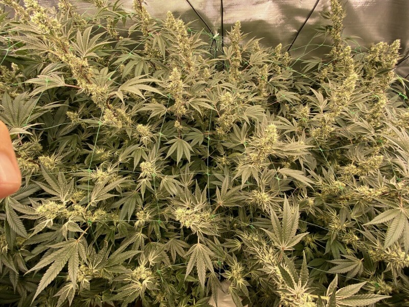 D8331214-D0F4-4F70-84DD-6B9B25B51374