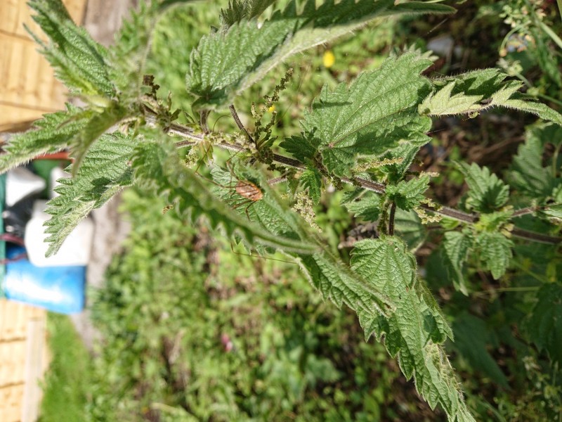 b90ddbd8-1481-4a30-86b4-d8f7404e770e