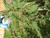 b90ddbd8-1481-4a30-86b4-d8f7404e770e