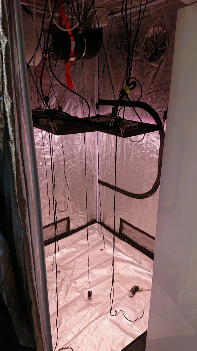 obscura1631630693942