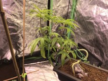 7357867D-04B6-4415-8E6B-D6B607D59141