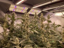 C2CB3342-D468-4B1C-9974-70BE761E01DC