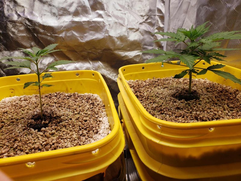 16317313926913278994597382160821