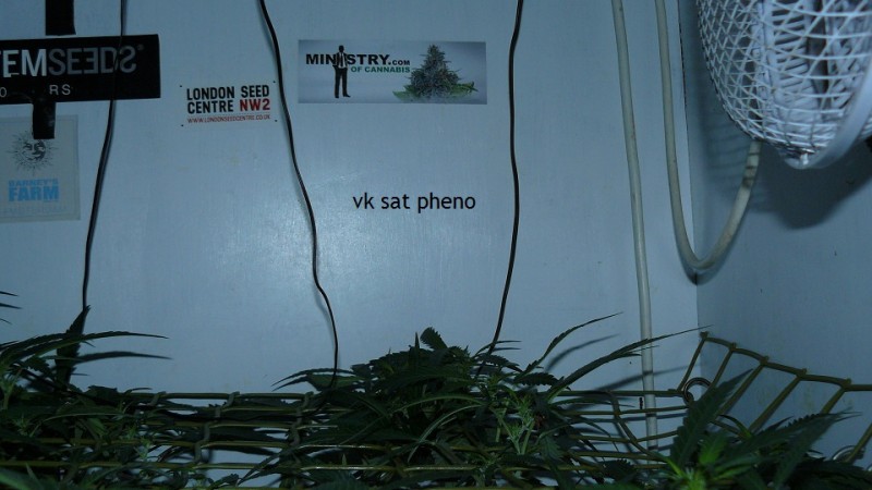 tangie vk cj 15 09 21 006