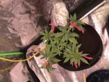 DF1F4B00-BA72-4663-B289-D0061848208D