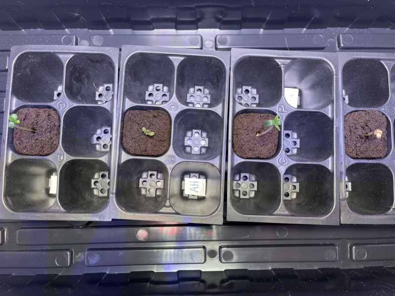 B599C5FA-9D14-4135-990F-0D6C499D710B