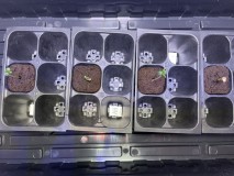 B599C5FA-9D14-4135-990F-0D6C499D710B