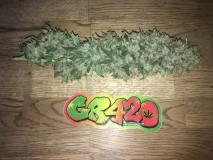 38533692-76B5-4E66-B5C6-AA70E91A708C