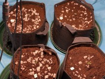 258C0254-342A-4154-8924-7FFDE1BF023B