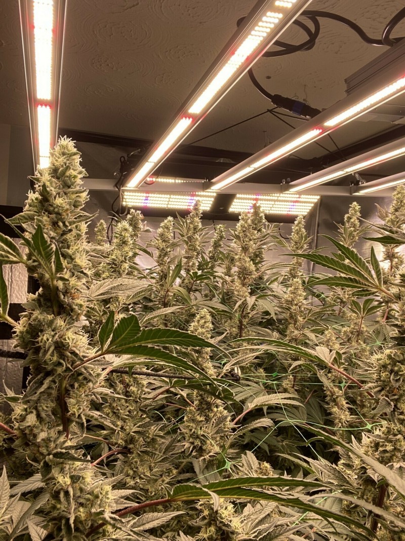 A2709996-C992-4FEB-8B69-6CF6FFD3FF56