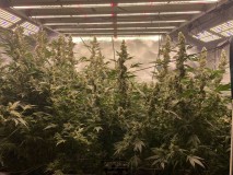 E37CD03F-E410-4EA0-9F70-DF49FEDF3D14