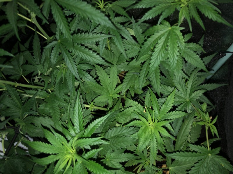 185FE1C1-B876-4BC5-9B83-F74B06A4F0BE