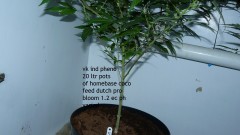 tangie vk cj 19 09 21 004