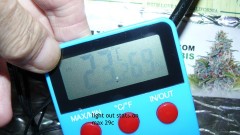 tangie vk cj 19 09 21 037