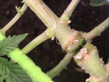 06D8CB54-9DE7-471B-8B6D-656EF38C3F8F