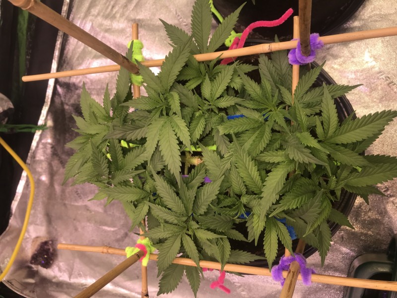 DCB1729E-2DB2-4479-A65A-98C2CC7159CB