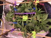 2D9A5321-407D-4580-B9FD-92D5BE593800