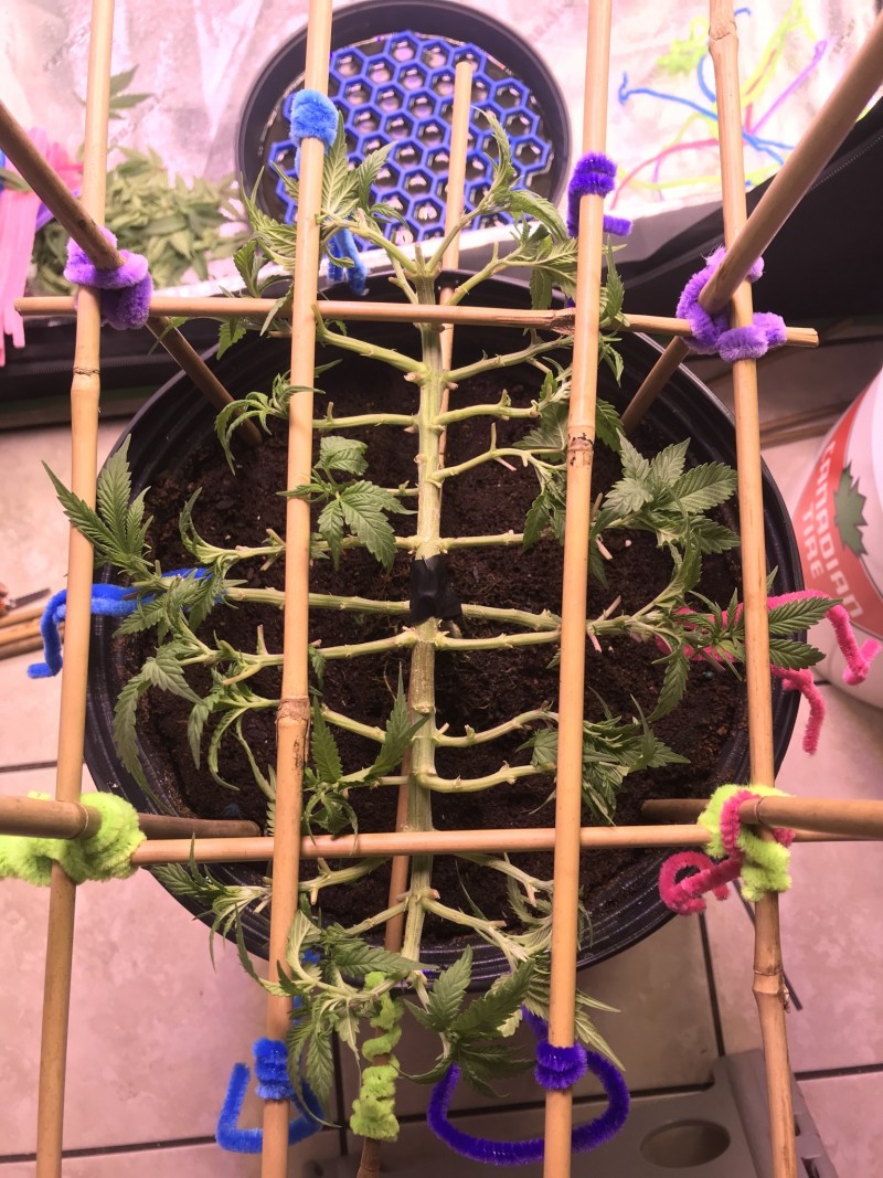 AA1EAA4E-CB63-42DE-90F1-46AFE36BD22E