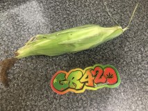 7EB3DA3D-0BF7-4E72-837D-2A9F37BC7734