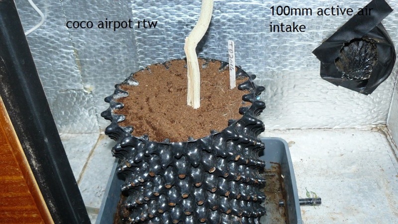 td vk cj 21 09 21 037